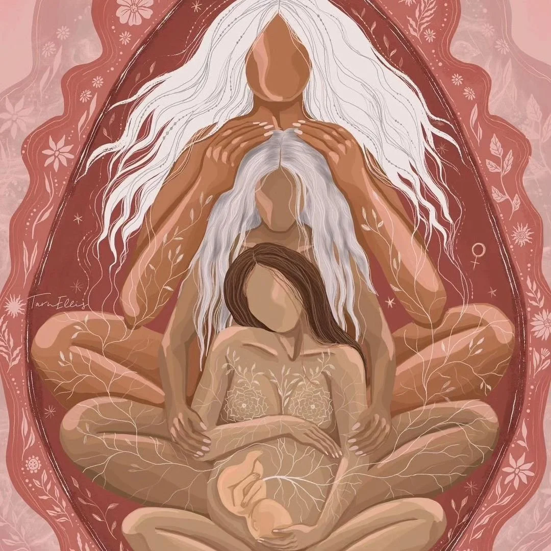 346654812_166795796349158_6550197500829660584_n copy.jpeg