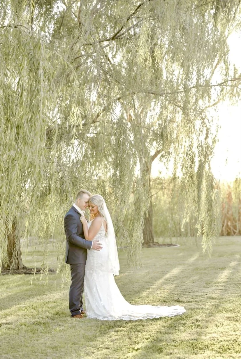 A bride and groom standing close together on a grassy area under a large, leafy tree during sunset. The groom is wearing a dark suit, and the bride is in a white wedding dress with a veil. They are embracing and touching foreheads.