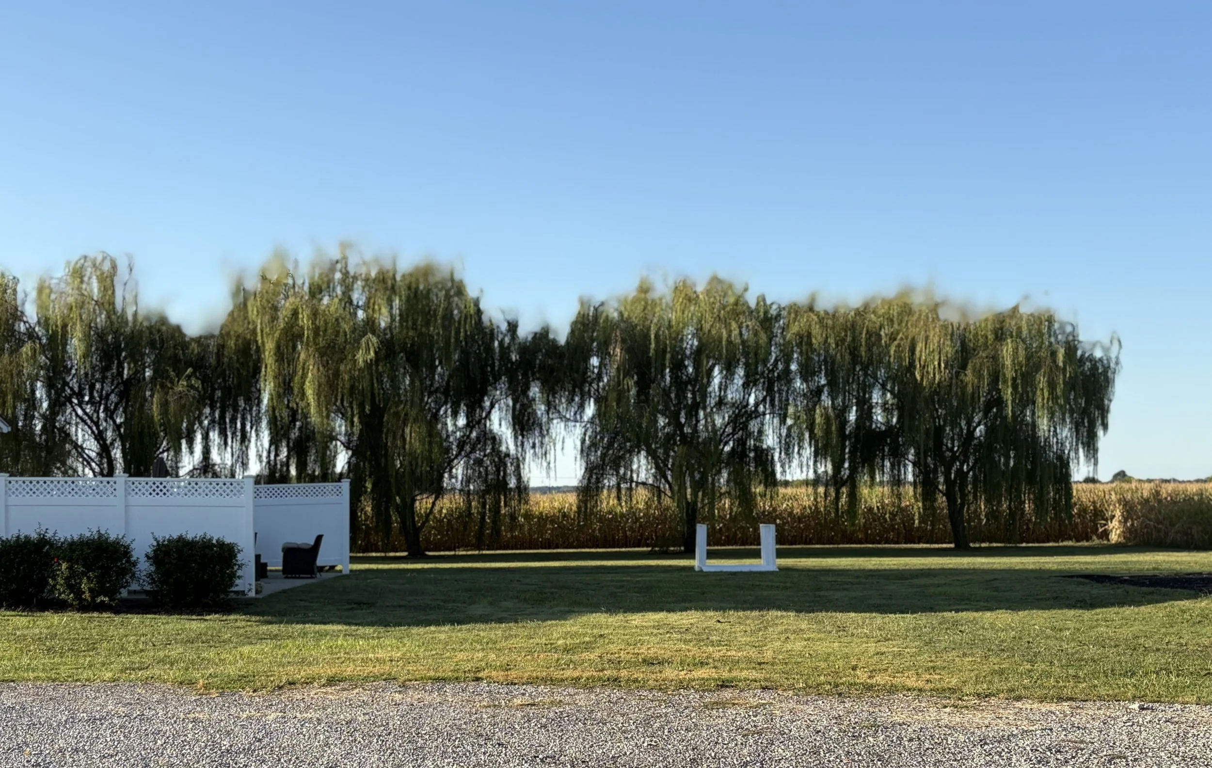 A backyard with green grass, a white fence, trees in the background, and a gravel pathway in the foreground on a clear day.