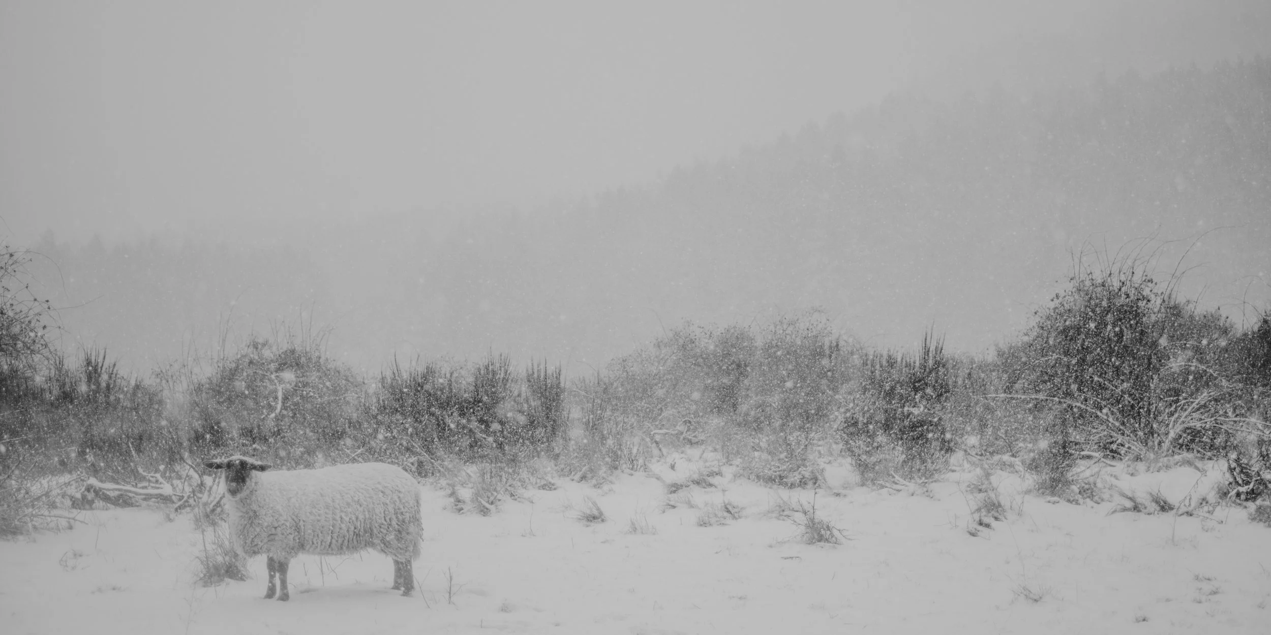 1-poem-DSCF2544-25.jpg