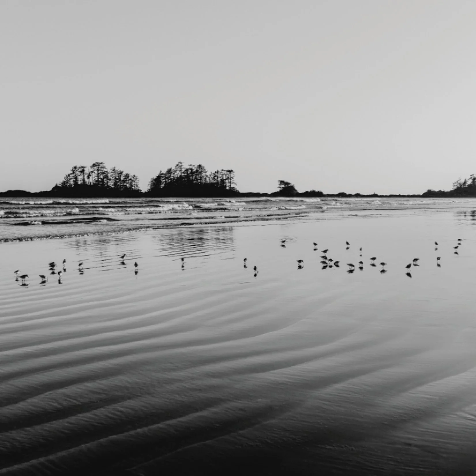 three may days - update 202623.jpg