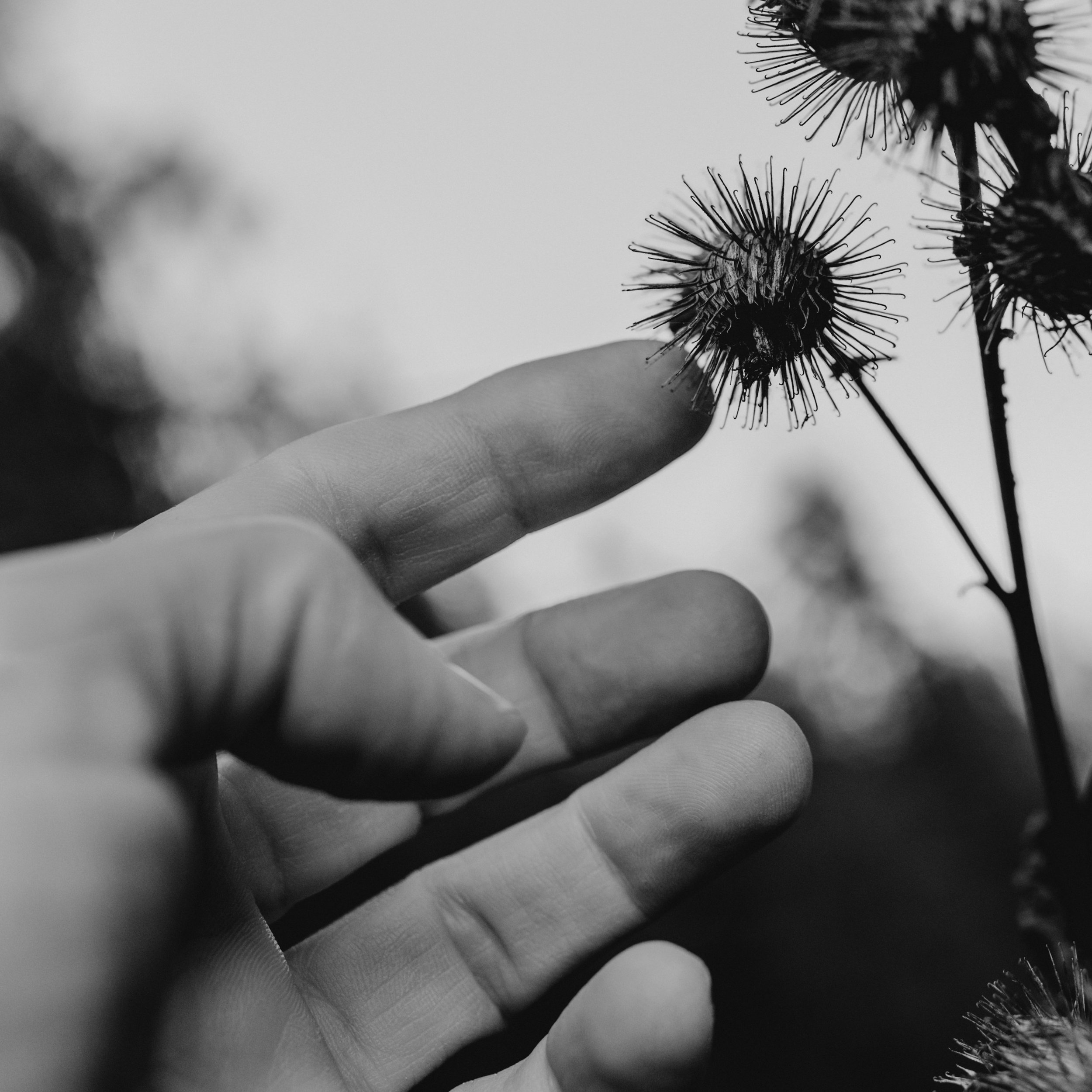 11hands-AAA_9112-20.jpg