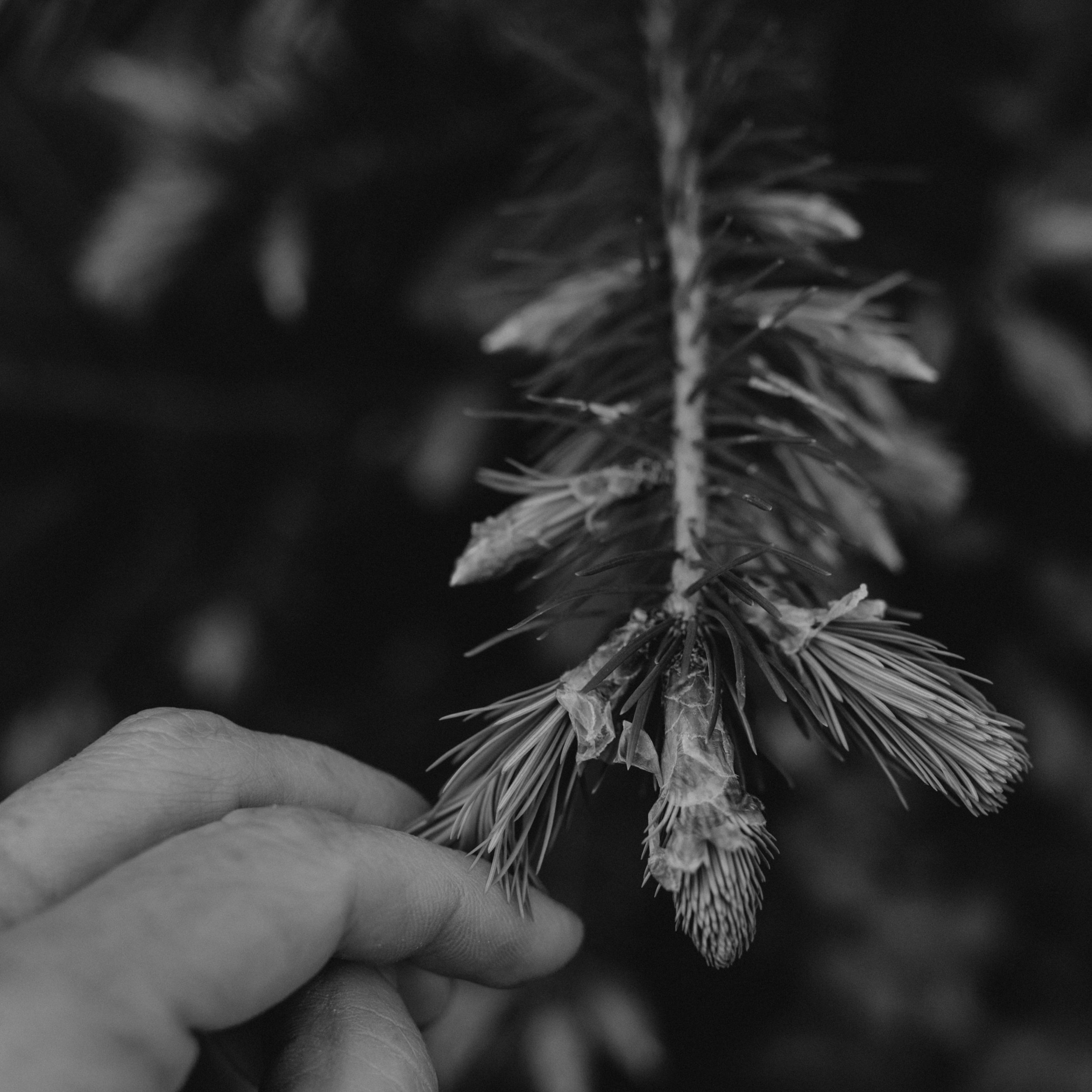 36hands-AAA_0646-20.jpg