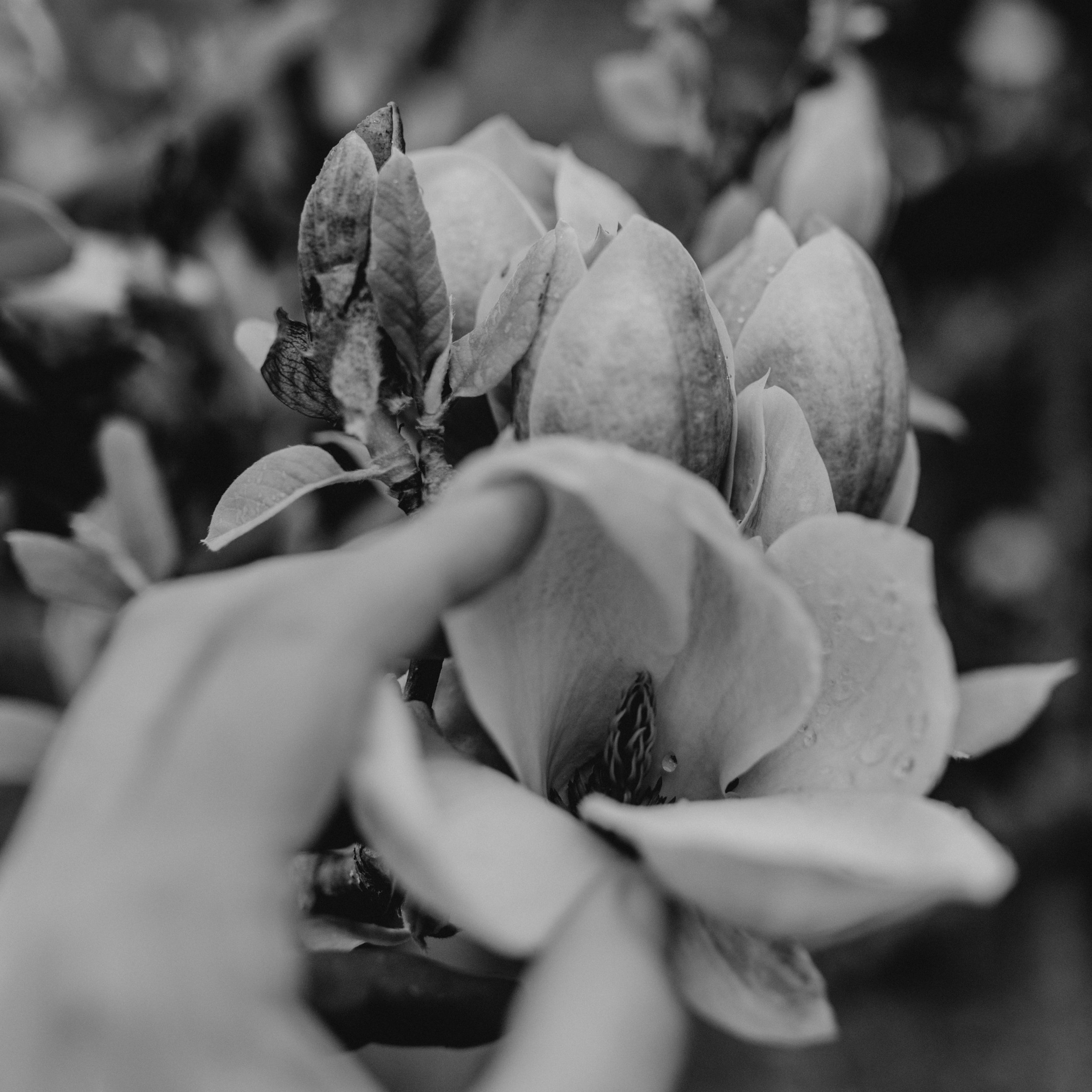 33hands-AAA_9836-20.jpg
