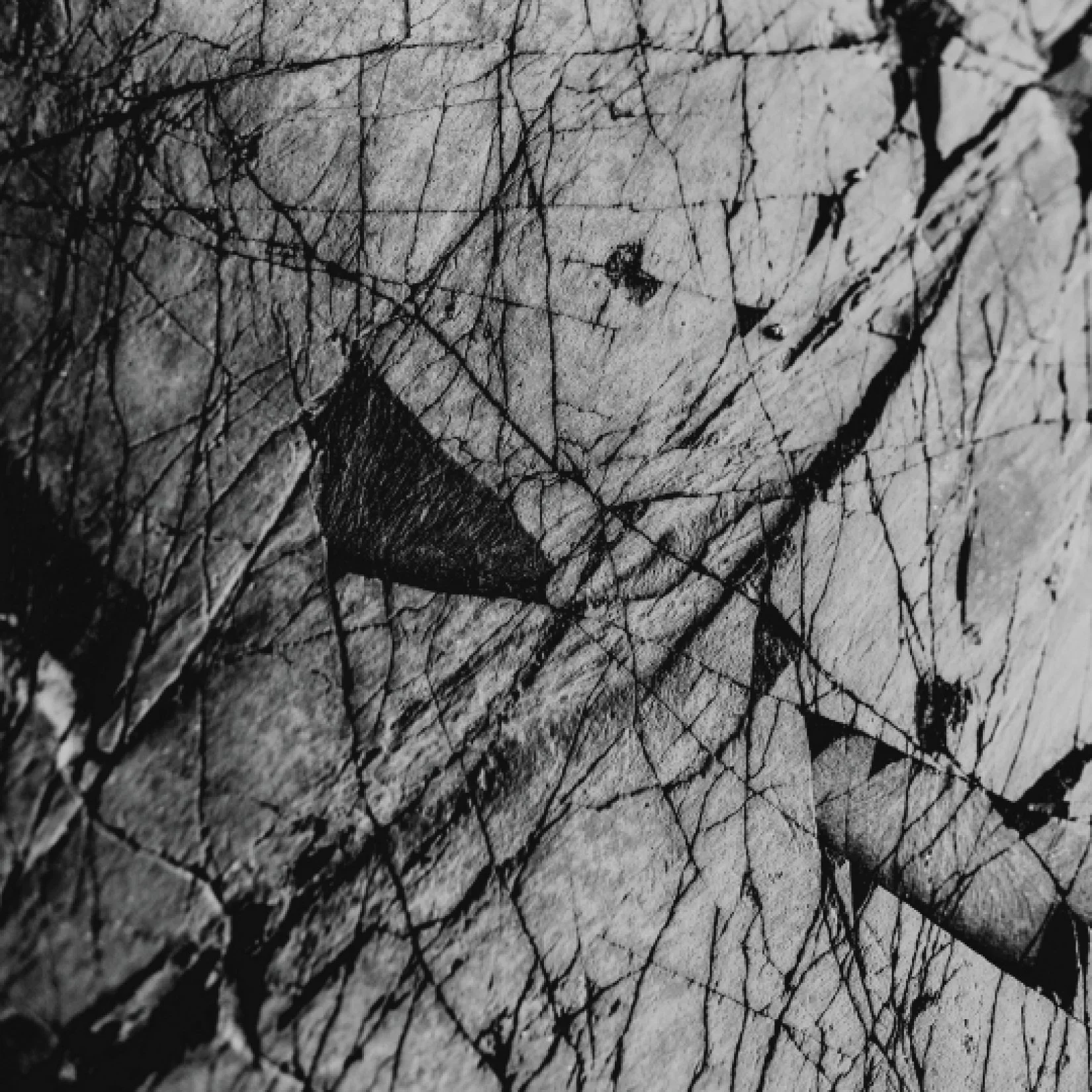 three may days - update 202621.jpg