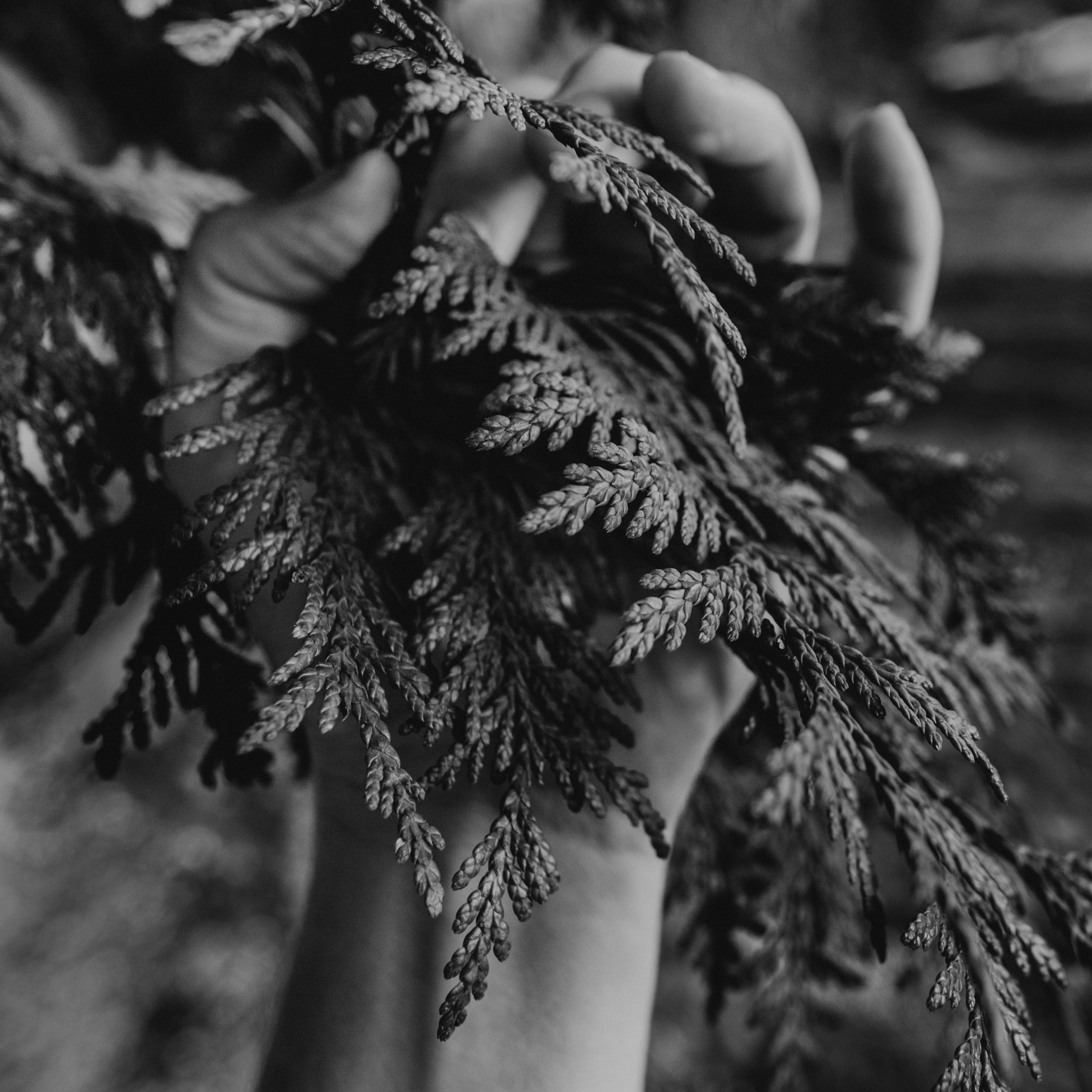 6hands-DSC_5017-19.jpg