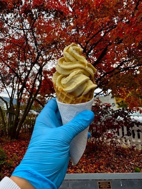 Pumpkin pie.jpg