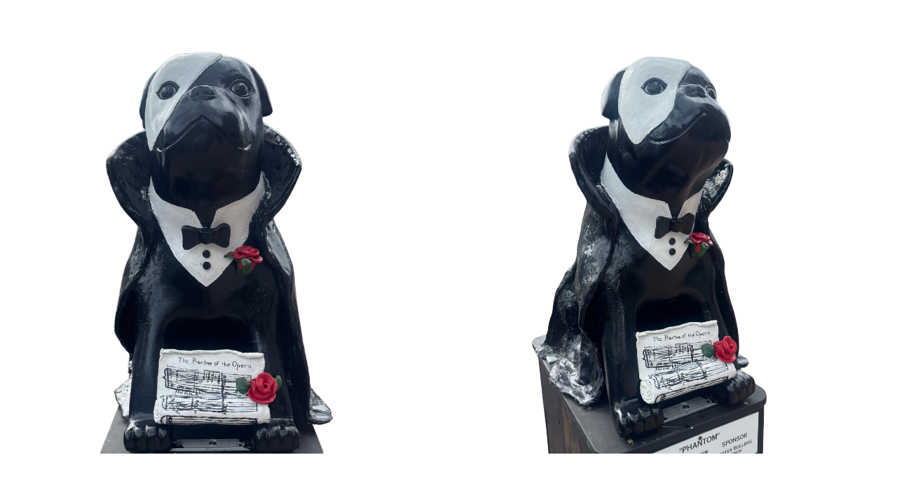 Bulldog 26 images no background (8).png