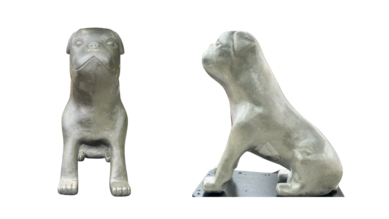 Bulldog 26 images no background (6).png