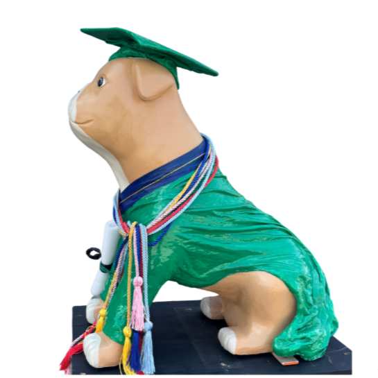 24. Grad Dog