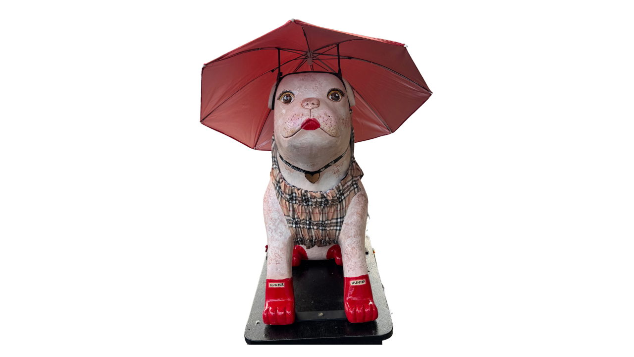 Bulldog 26 images no background (18).png