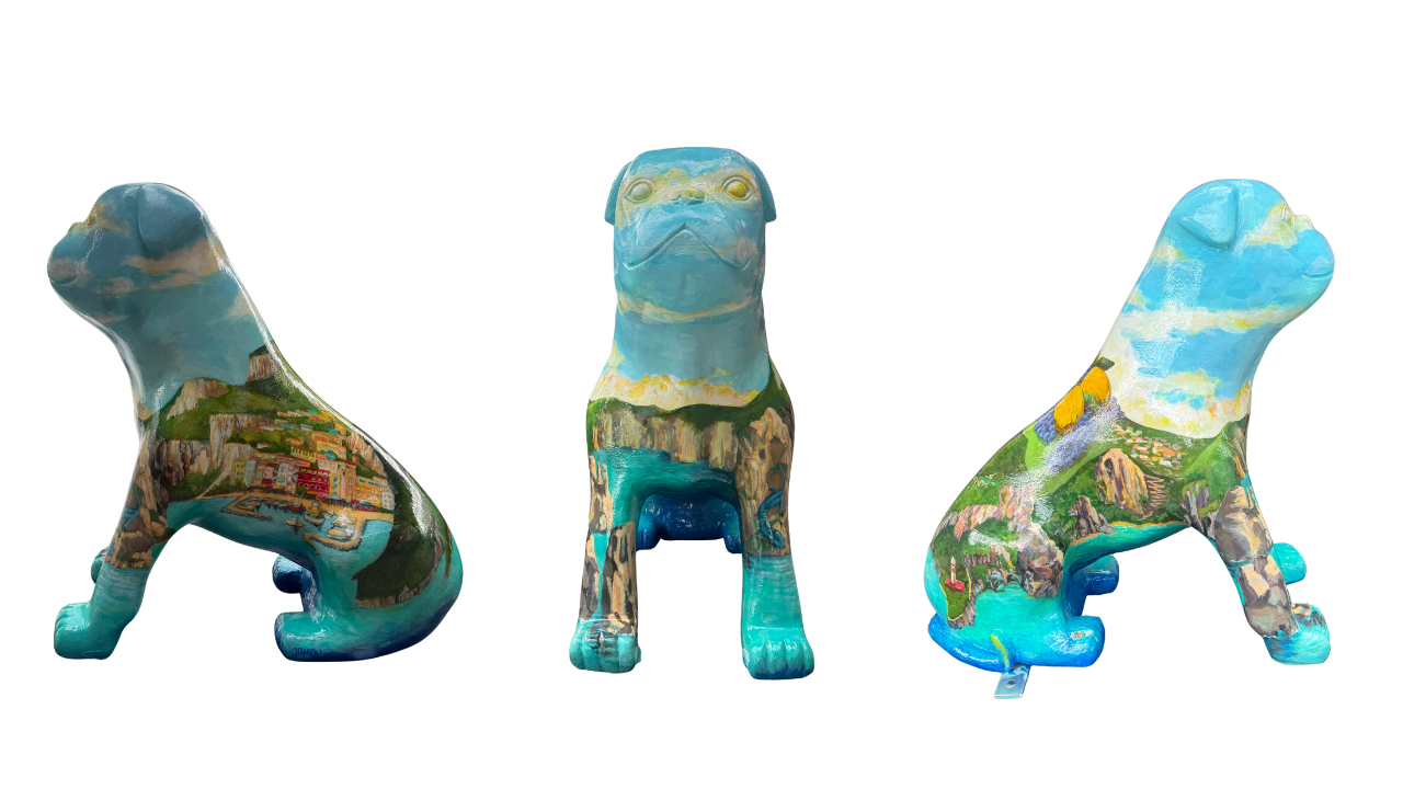 Bulldog 26 images no background (15).png