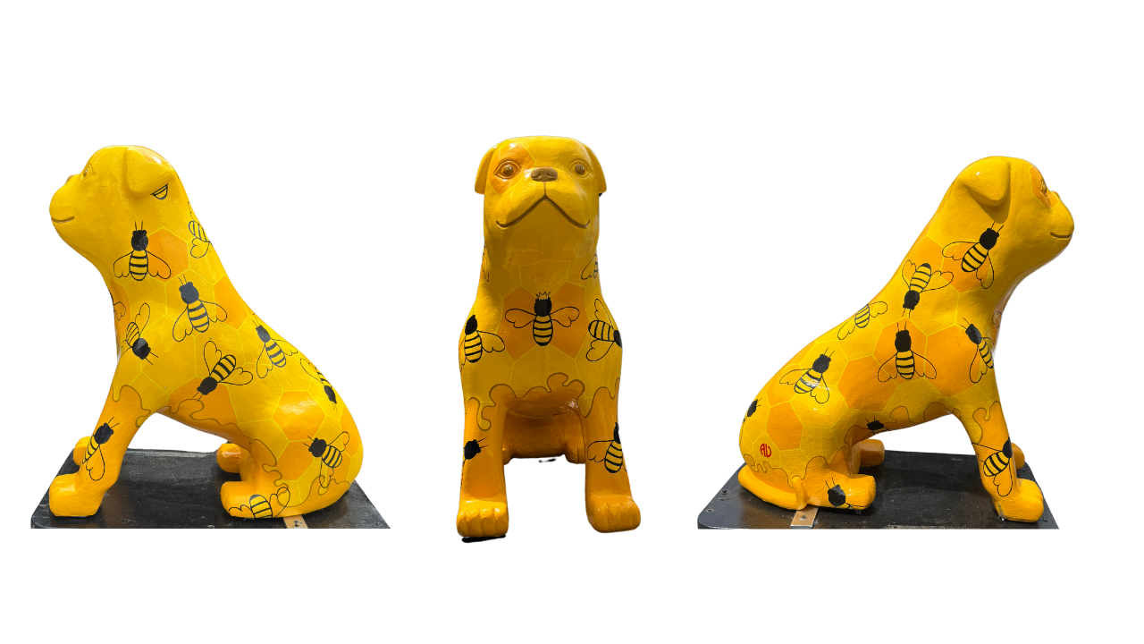 Bulldog 26 images no background (12).png