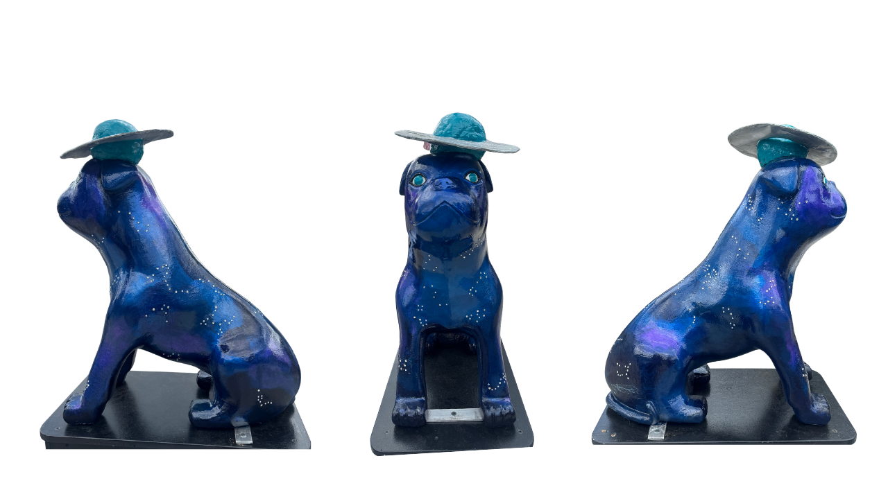 Bulldog 26 images no background (13).png