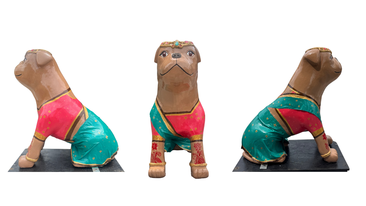 Bulldog 26 images no background (11).png