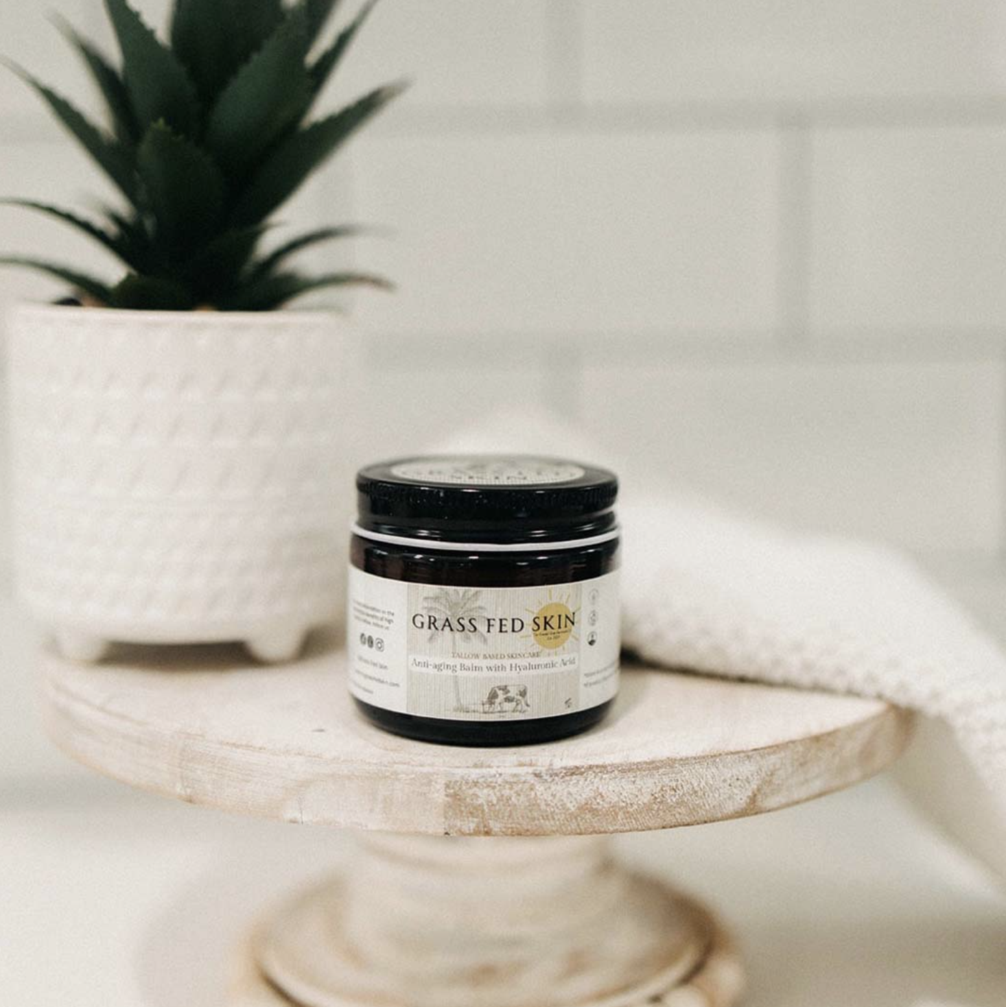 Screenshot 2026-03-25 at 8.31.22 AM.png