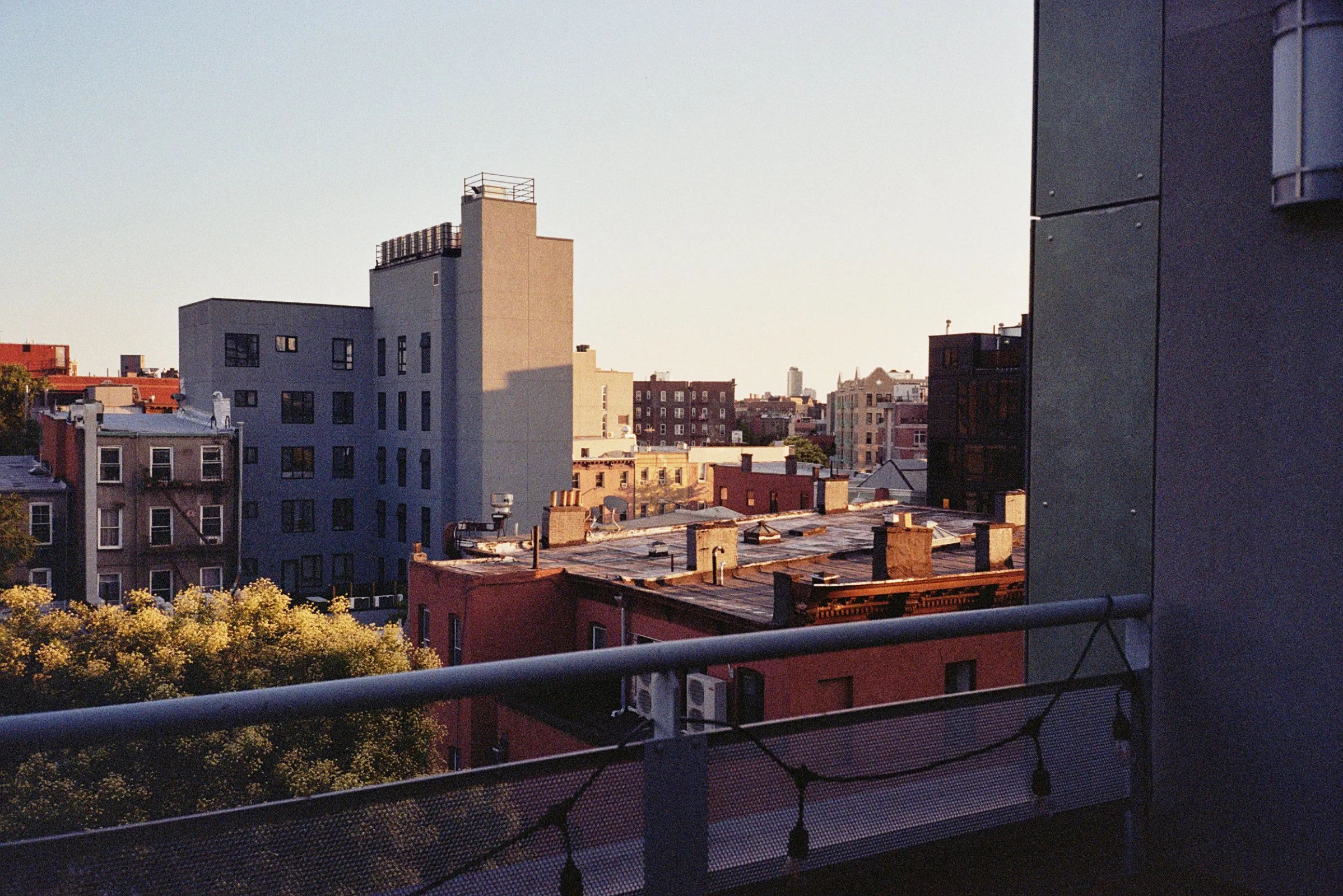 00536_7.jpg