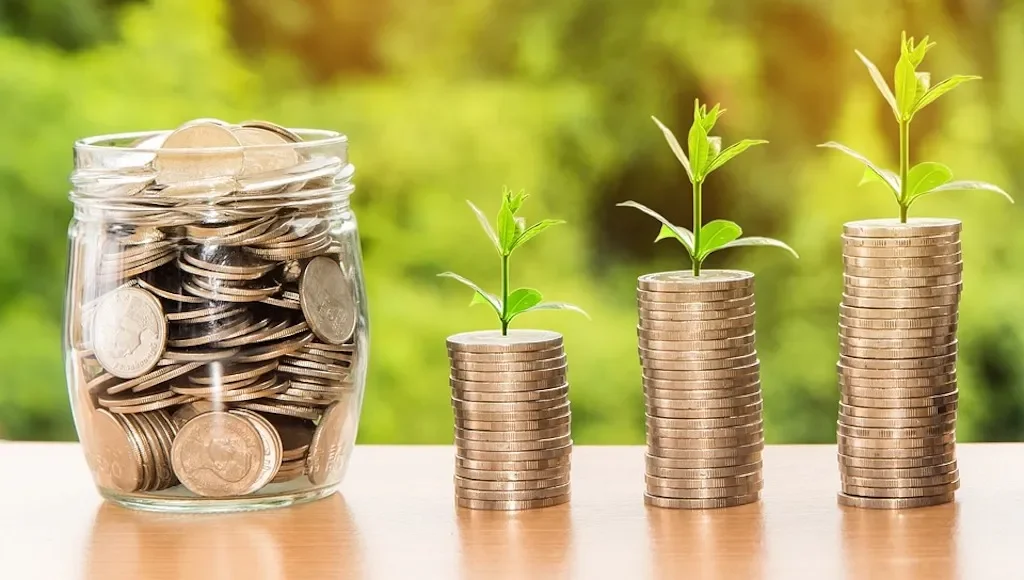 Navigating Nigeria's Climate Finance: A Path to Sustainable Transition