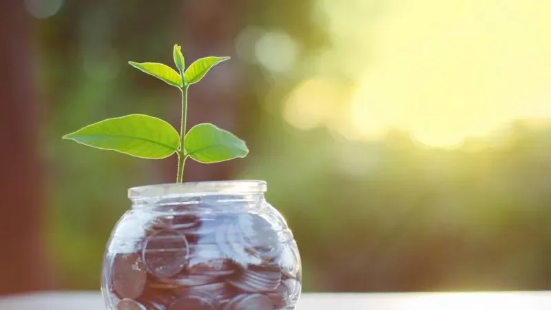 Climate Finance: What Would It Take To Fund Nigeria's Transition?