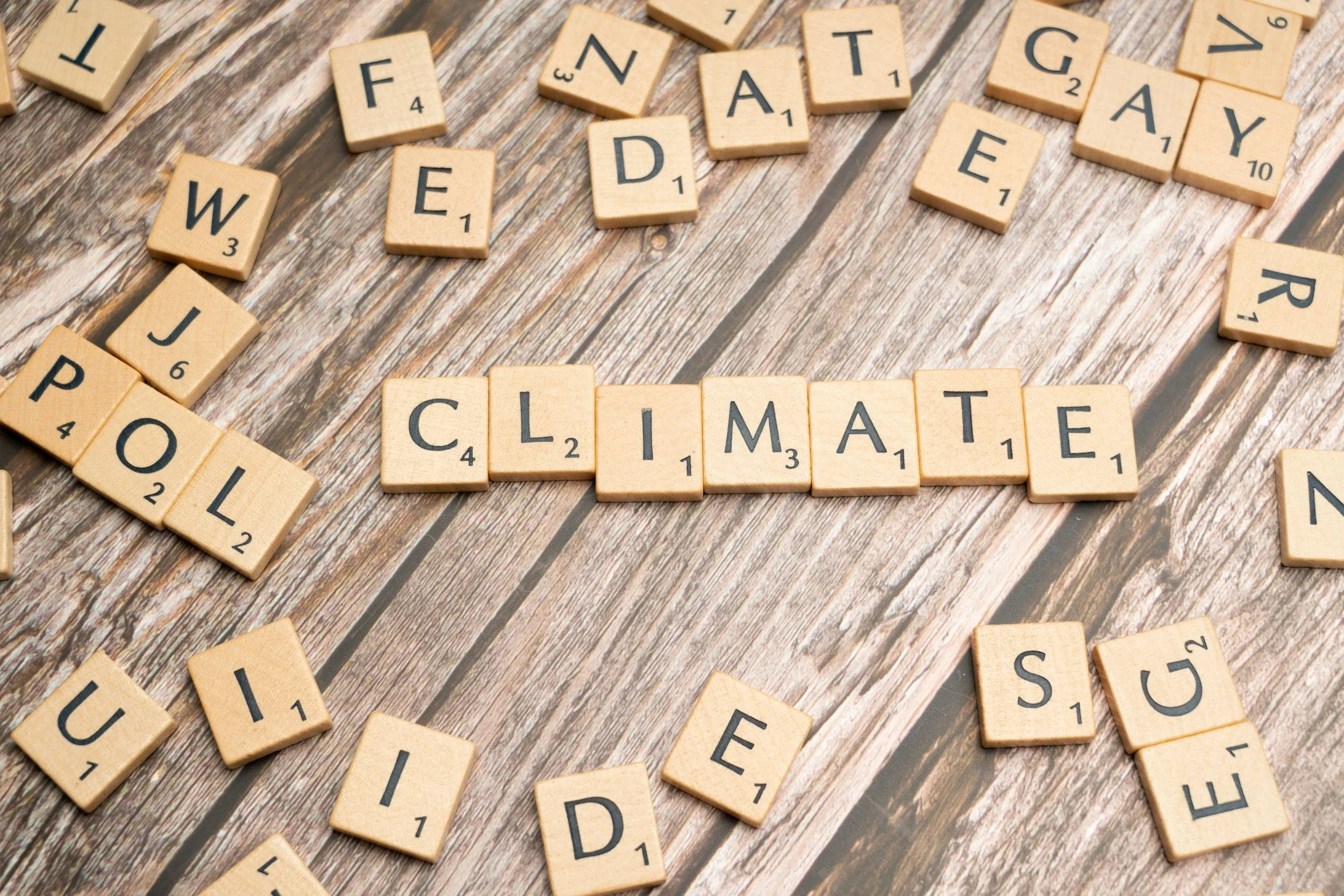 Climate Diplomacy Amidst Shrinking Multilateralism