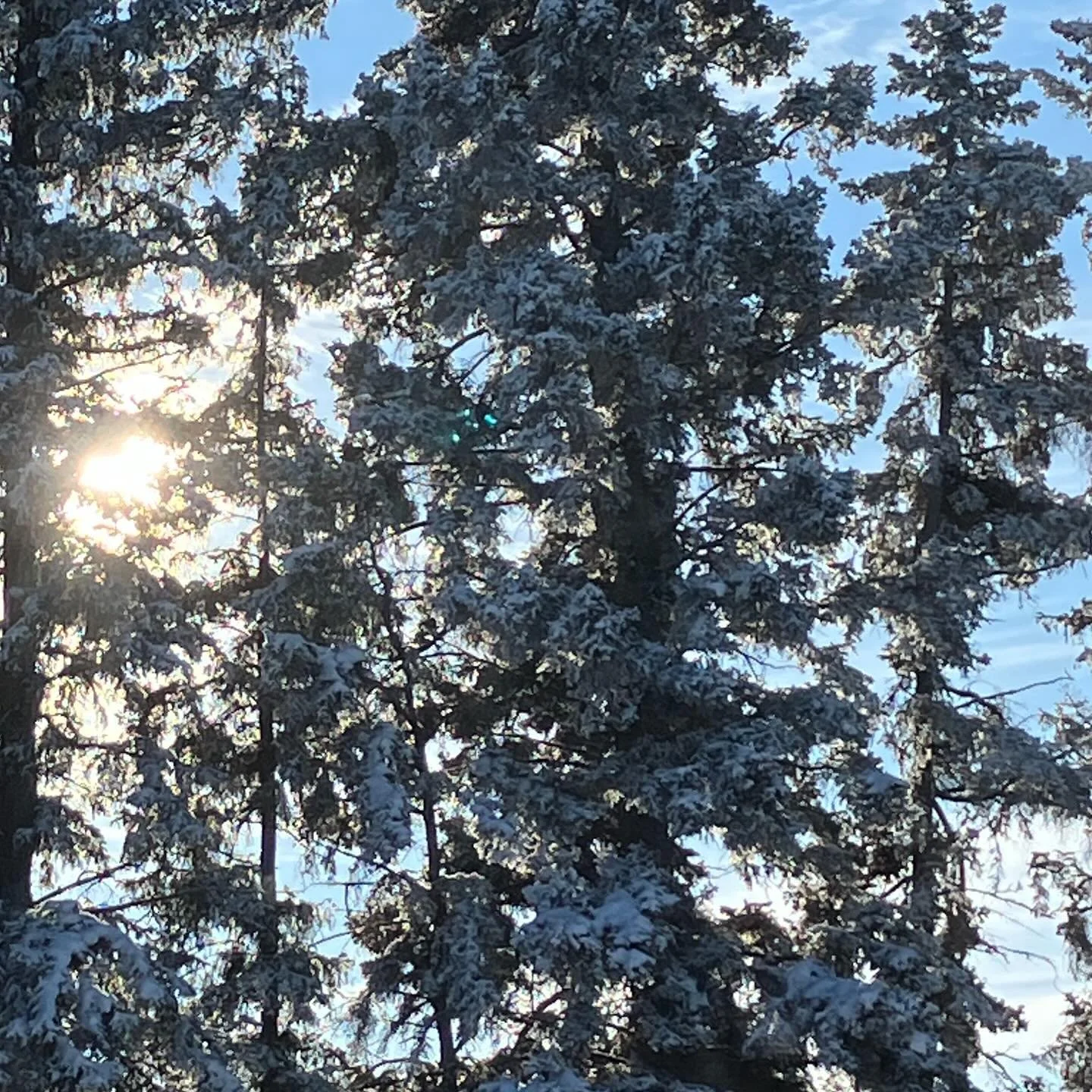 Here&rsquo;s to the Winter Solstice and a season that brings you rest without collapse, joyful moments, the gift of presence, and the warmth that comes with saying yes to a deeper rel with yourself ❄️🩵