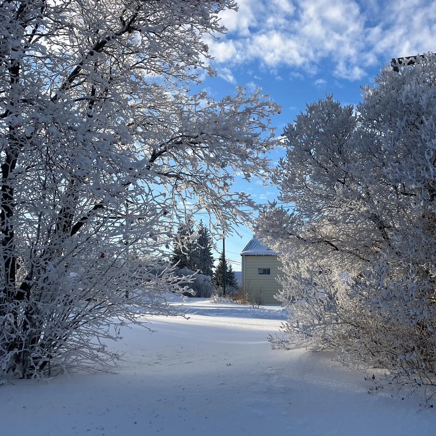 Quiet doesn&rsquo;t mean nothing is happening.

Under the surface, things are settling, strengthening, and finding their place. This season isn&rsquo;t about pushing forward. It&rsquo;s about listening, resting, and allowing space to do its work.

Bu