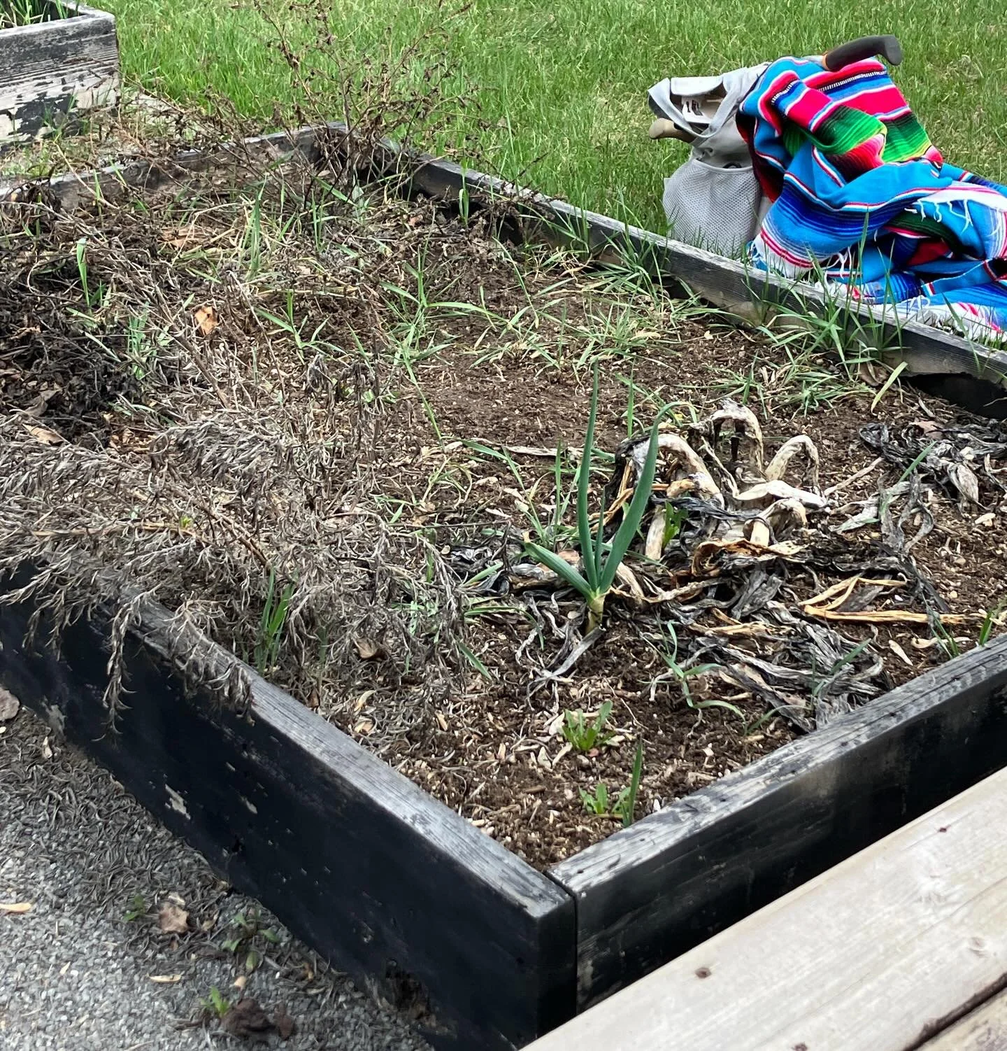 It is a happy Mother&rsquo;s Day when you have time to spend in the yard with nature, reclaiming your garden boxes and flower beds. The promise then, of planted seeds bursting forward into vegetables and flowers, fruit and herbs&hellip; spending the 