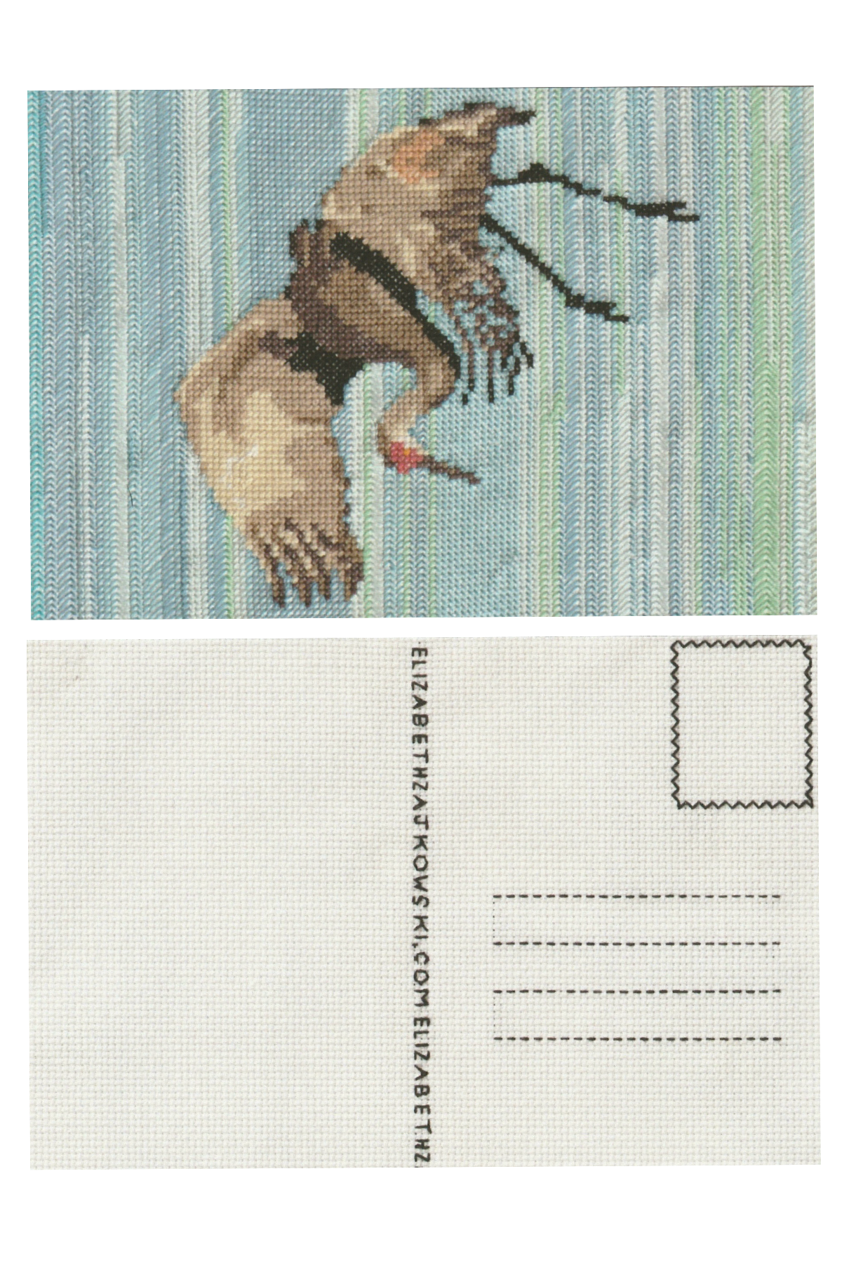 Sandhill Crane Postcard