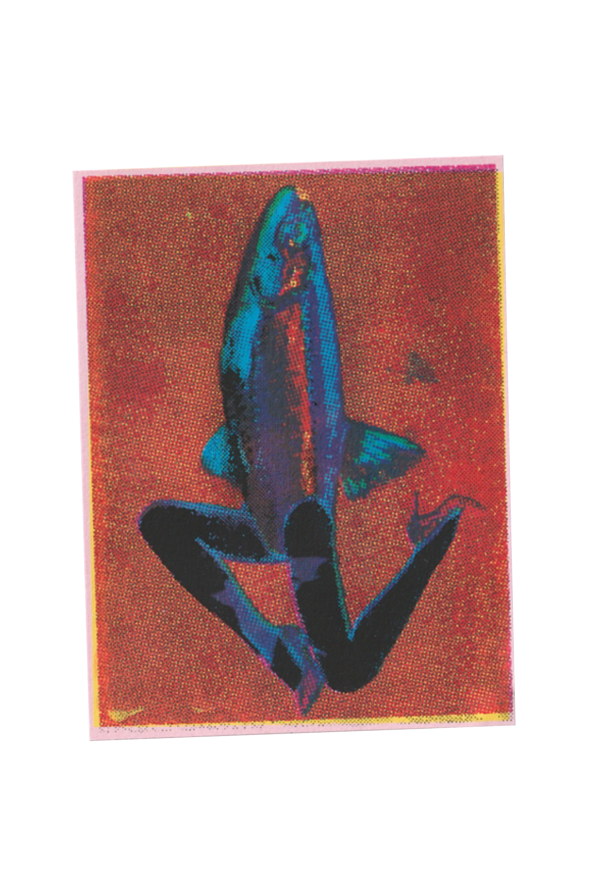 Fish with Legs CMYK Print
