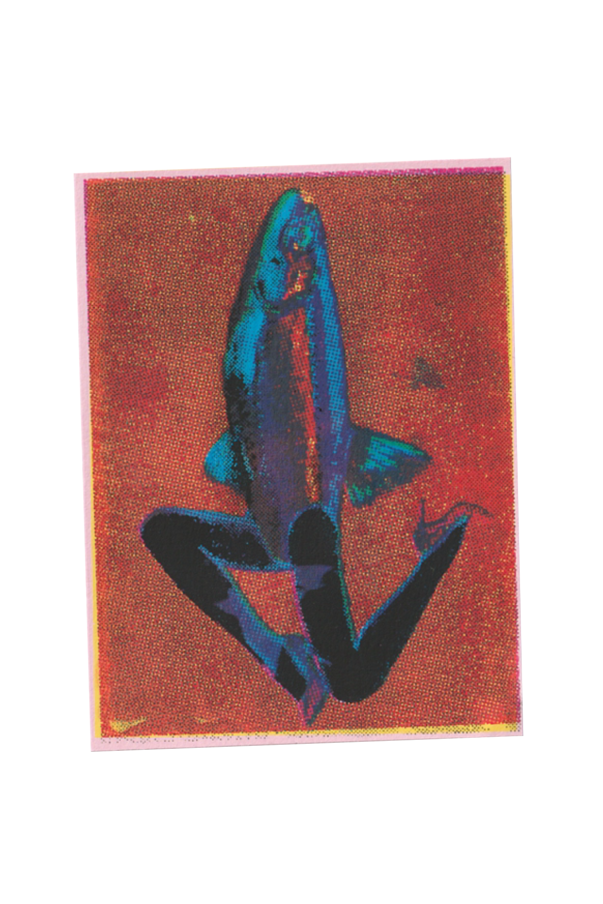 a CMYK silkscreen print of a fish with legs. click this image to shop prints.