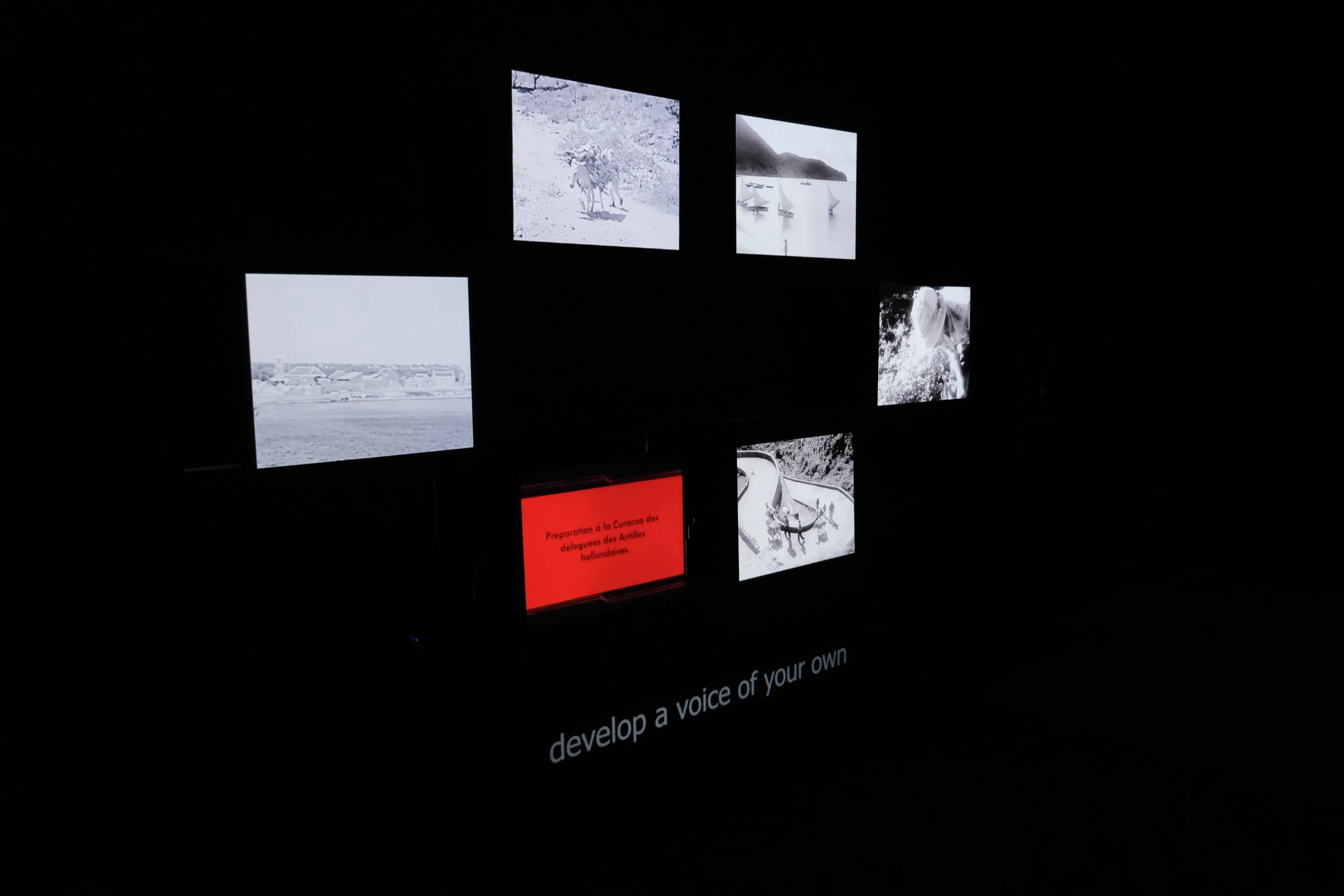 The Unintended Audience (2024)