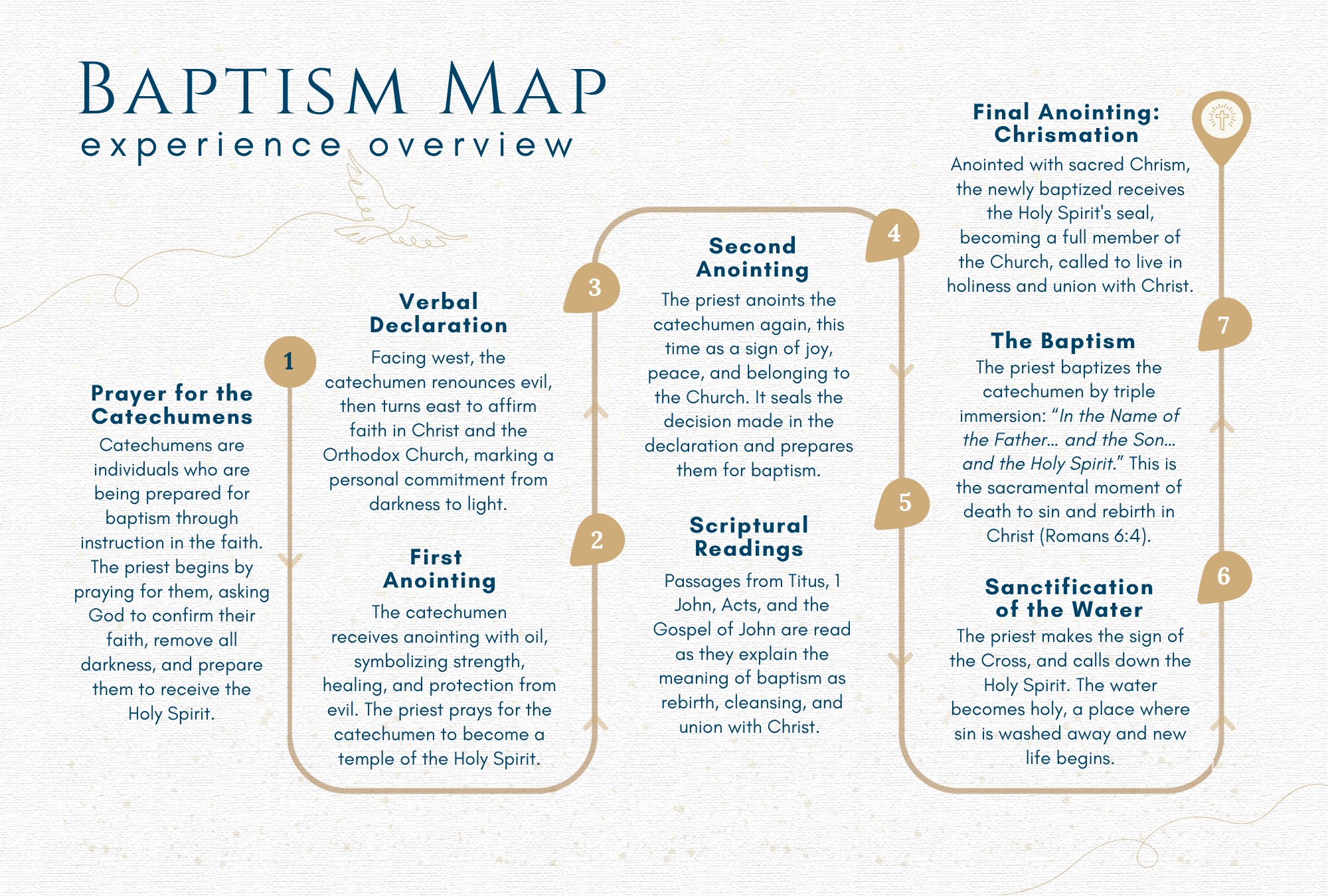 Sample Portfolio Graphic: A baptism map and overview. It outlines seven steps including prayer for catechumens, verbal declaration, first anointing, second anointing, scriptural readings, the baptism ceremony, and final anointing, chrismation.