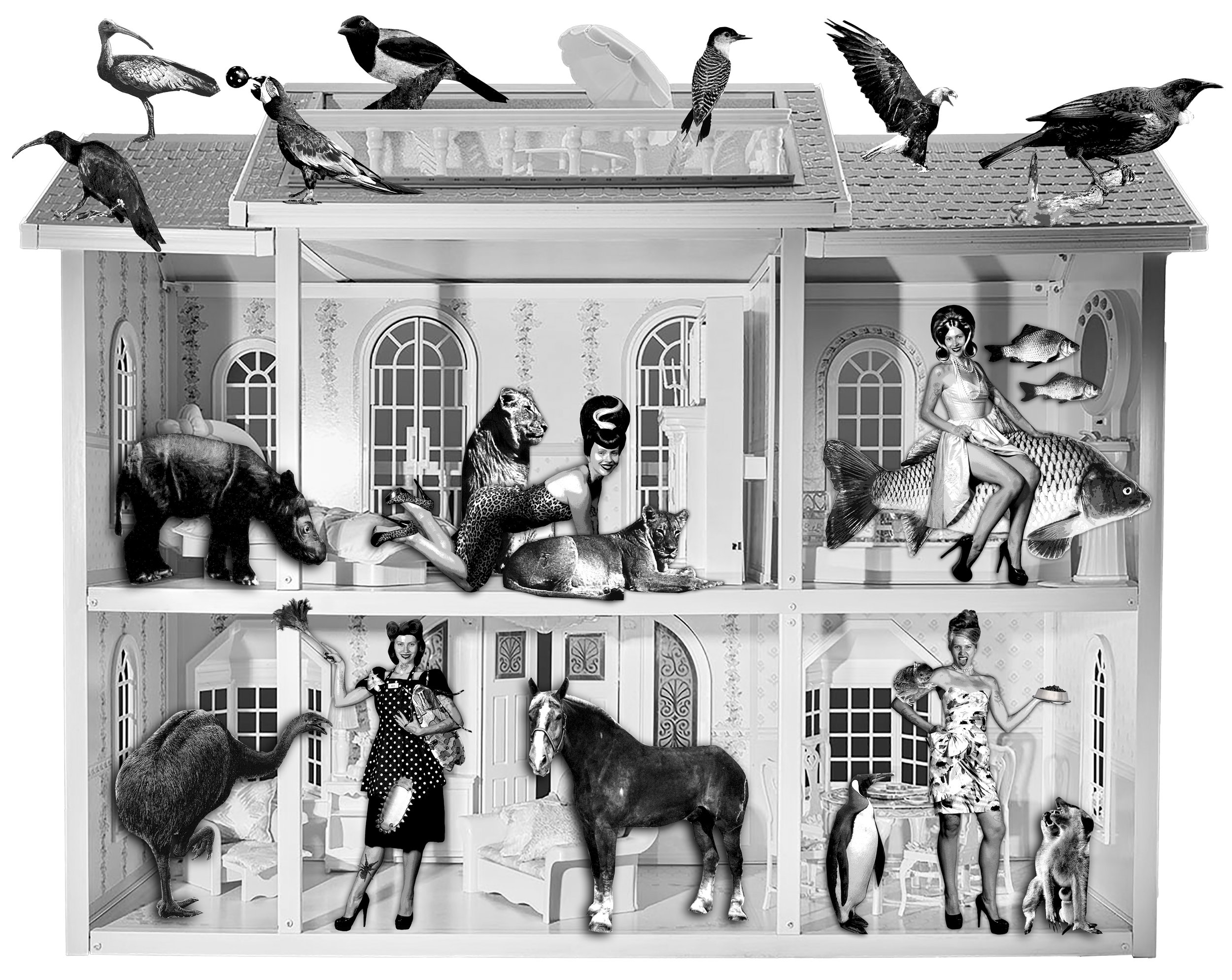 'Animal House,' Digital Collage, 2025.
