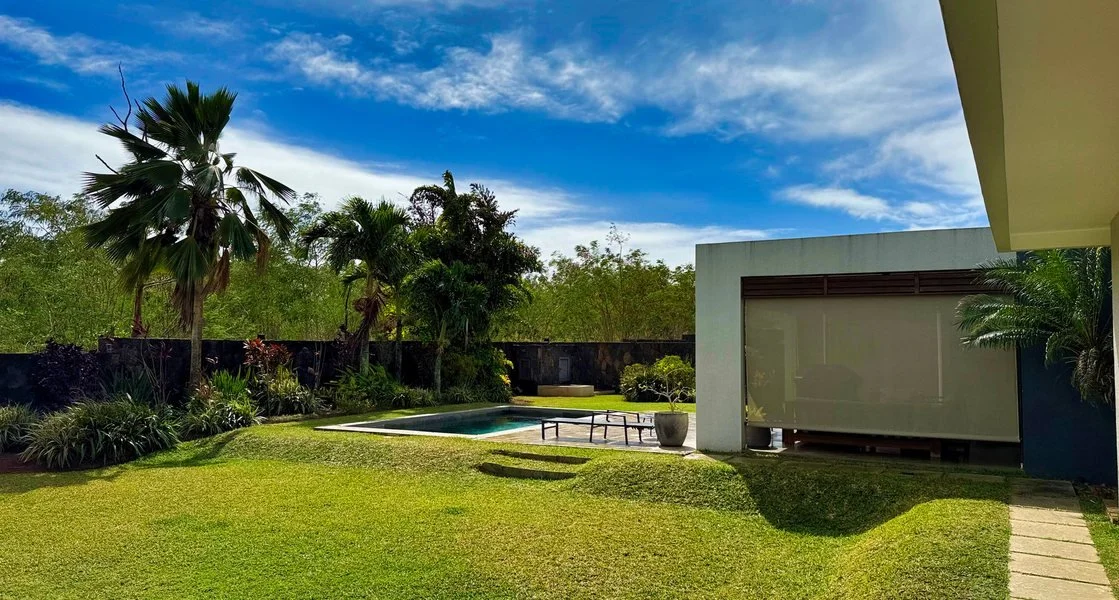 Palmen im Garten