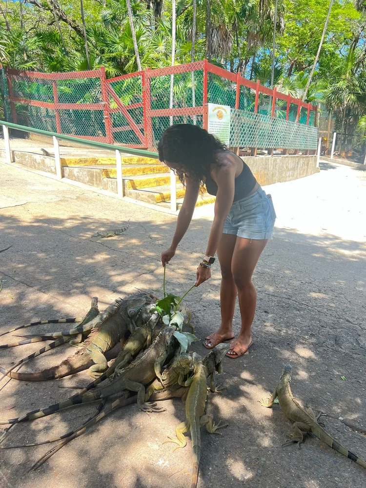 A guest feeding iguanas at the Marine Park