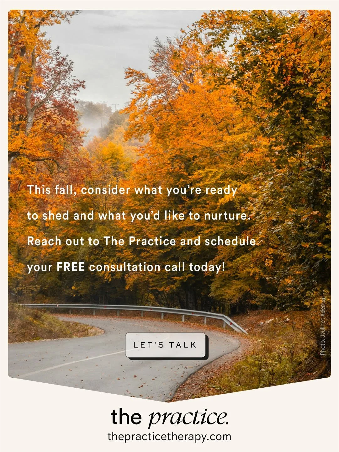 As the trees let go, so can we. 🍁
This fall, reflect on what no longer serves you—and give care to what’s ready to bloom within.
✨ Connect with The Practice to begin your journey inward.
www.thepracticetherapy.com.
#letstalk #nyctherapy