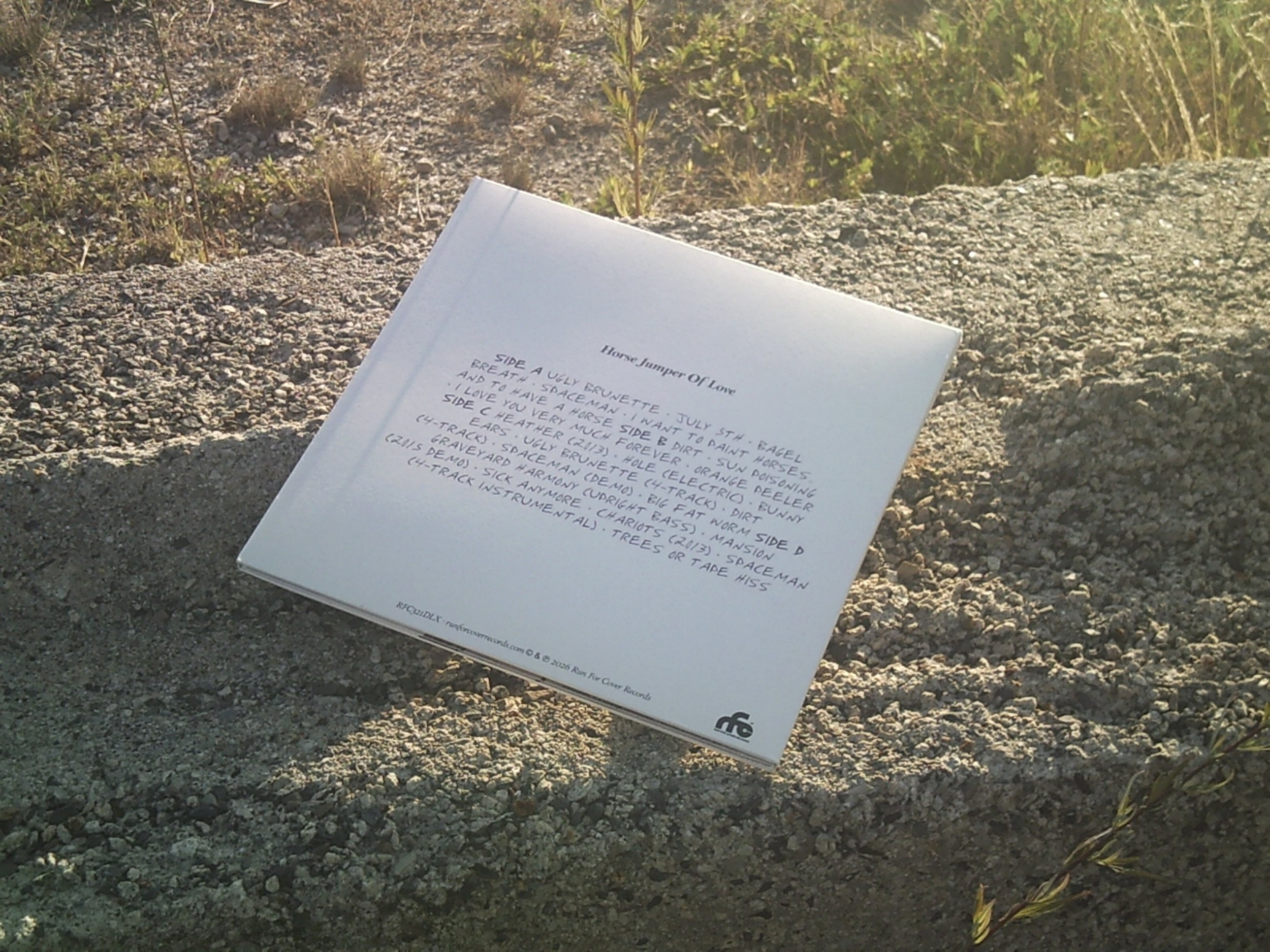 SUNP0337.JPG