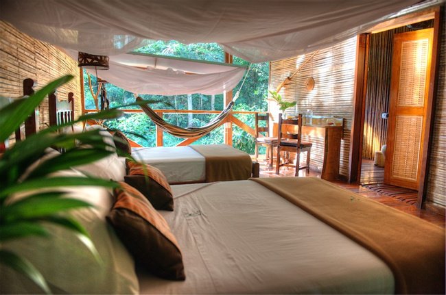 refugio-amazonas-room-1-gif-jpg.jpeg