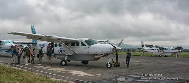 June Safari Update – Day 1