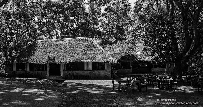 Safari Update – Rivertrees Country Inn