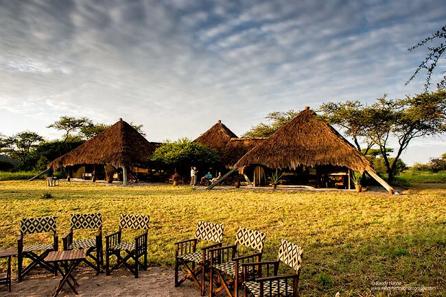 It’s a Catch-Up Safari Update Day 6