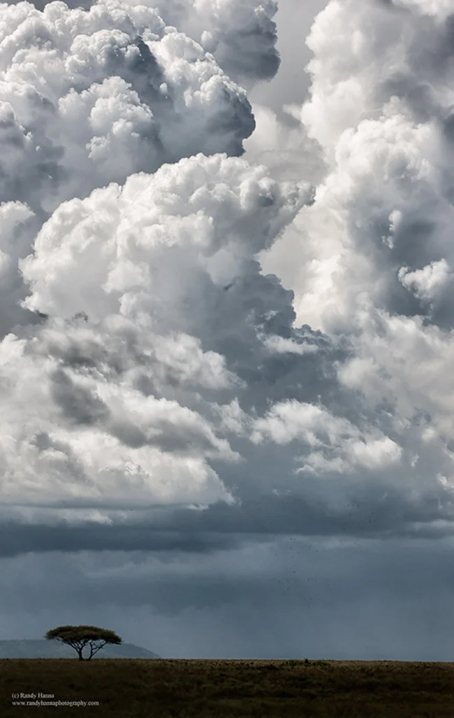 Safari Update Day 4 – Tazania