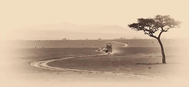 The Call of the Serengeti