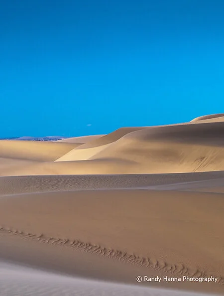 When to Hold’em and When to Fold’em?