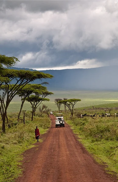 Safari Update – Ngorongoro Crater