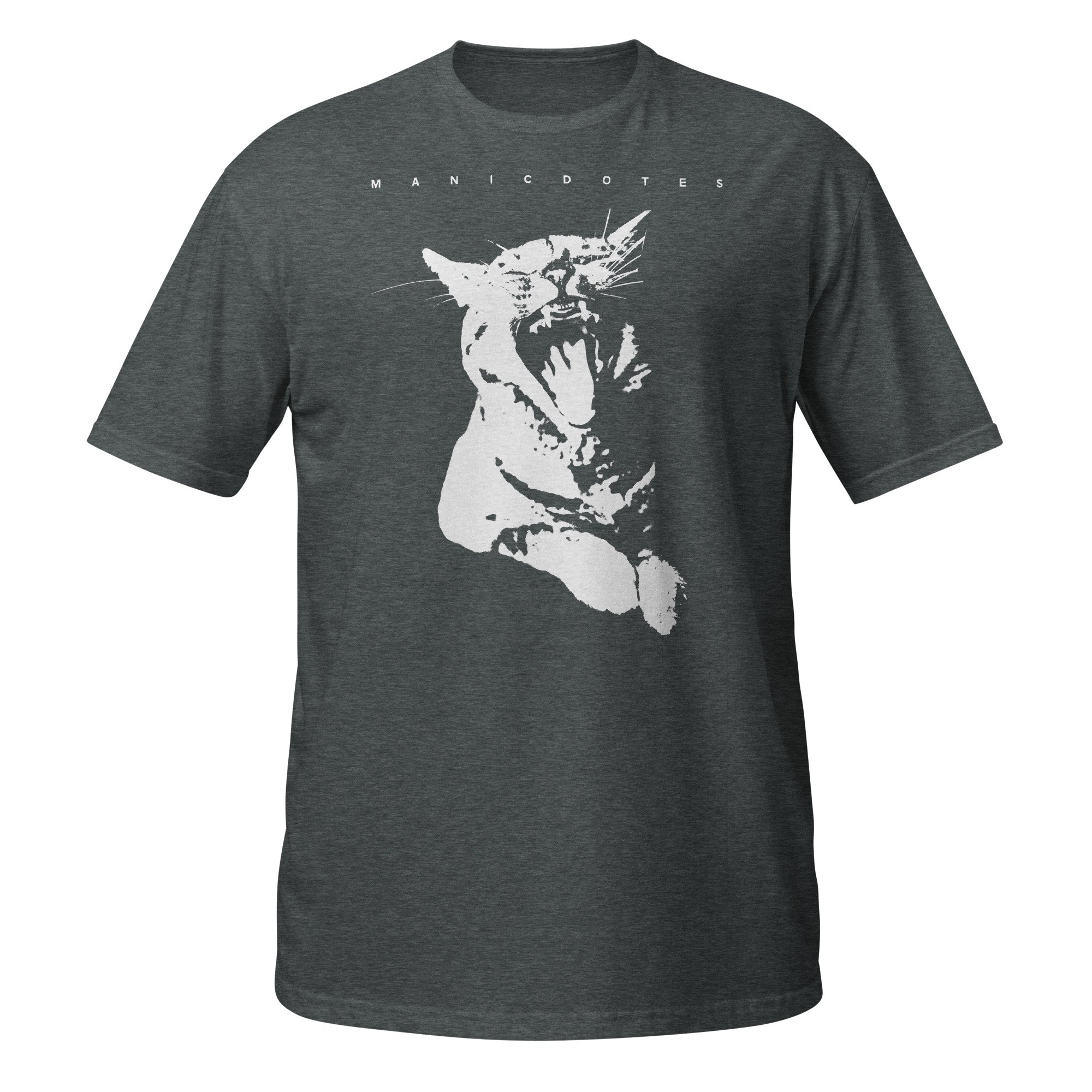 unisex-basic-softstyle-t-shirt-dark-heather-front-6772e586dda9a.jpg