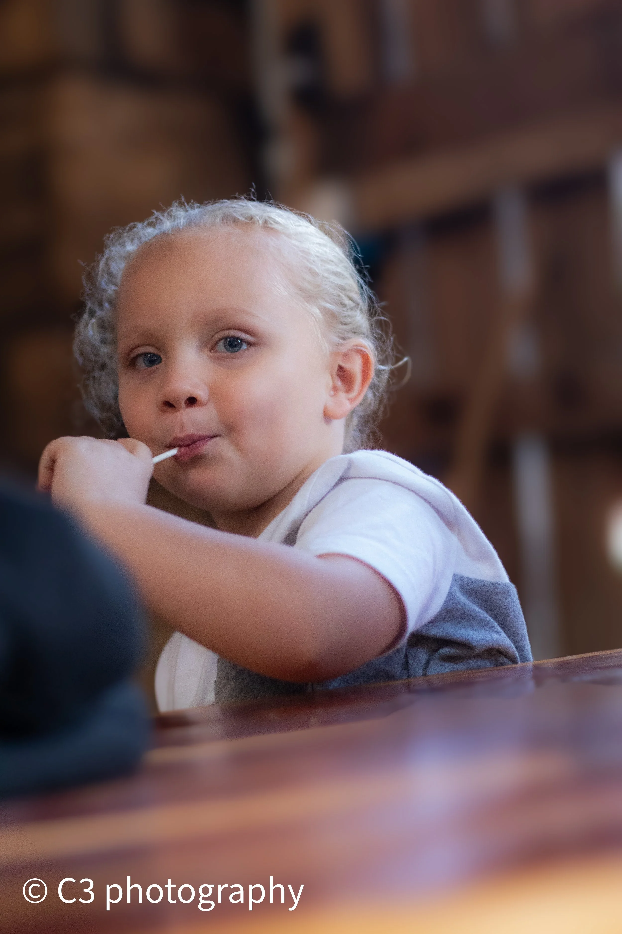 Portrait of little boy holding sucker stick larch ranch southern Indiana