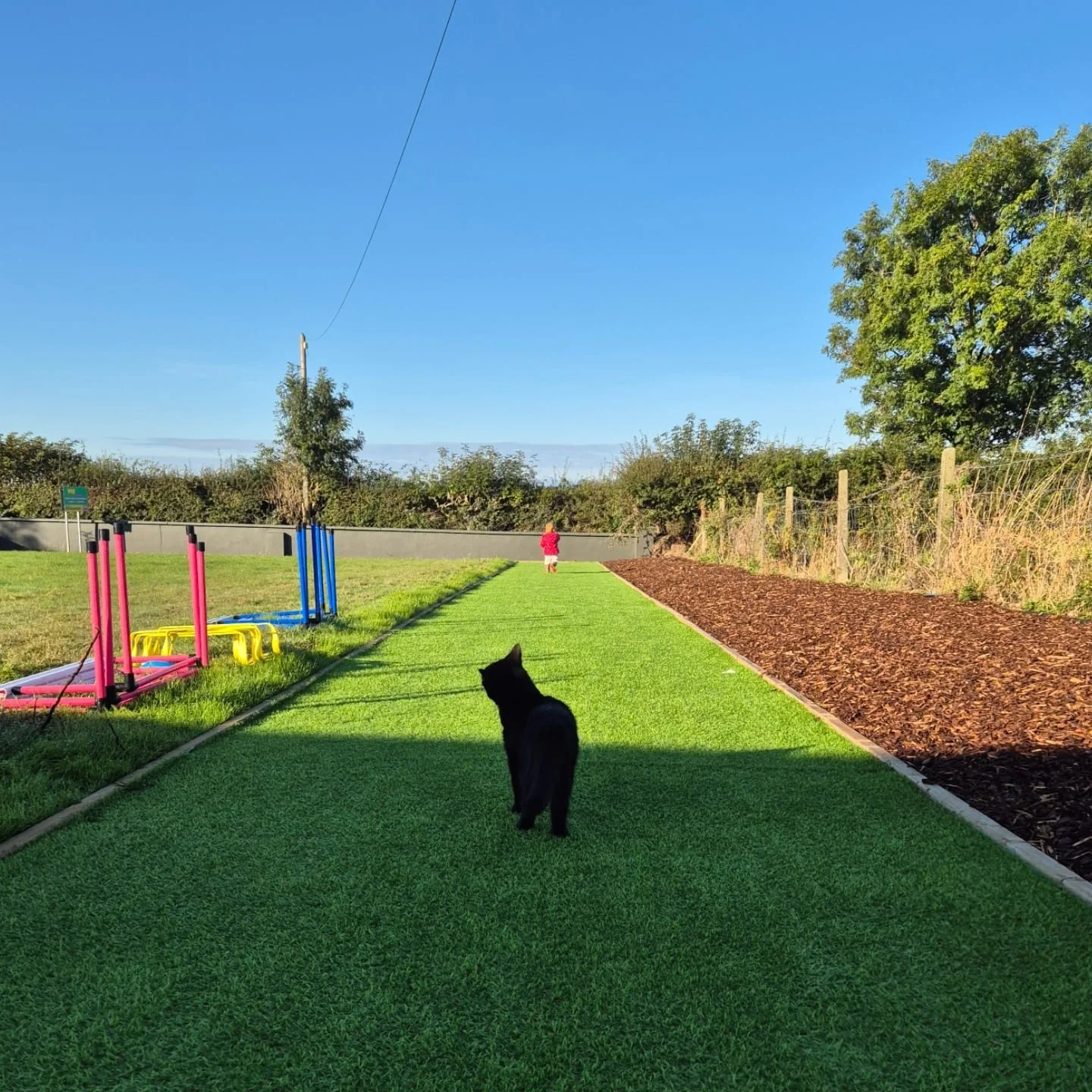 Good morning 👋

💨