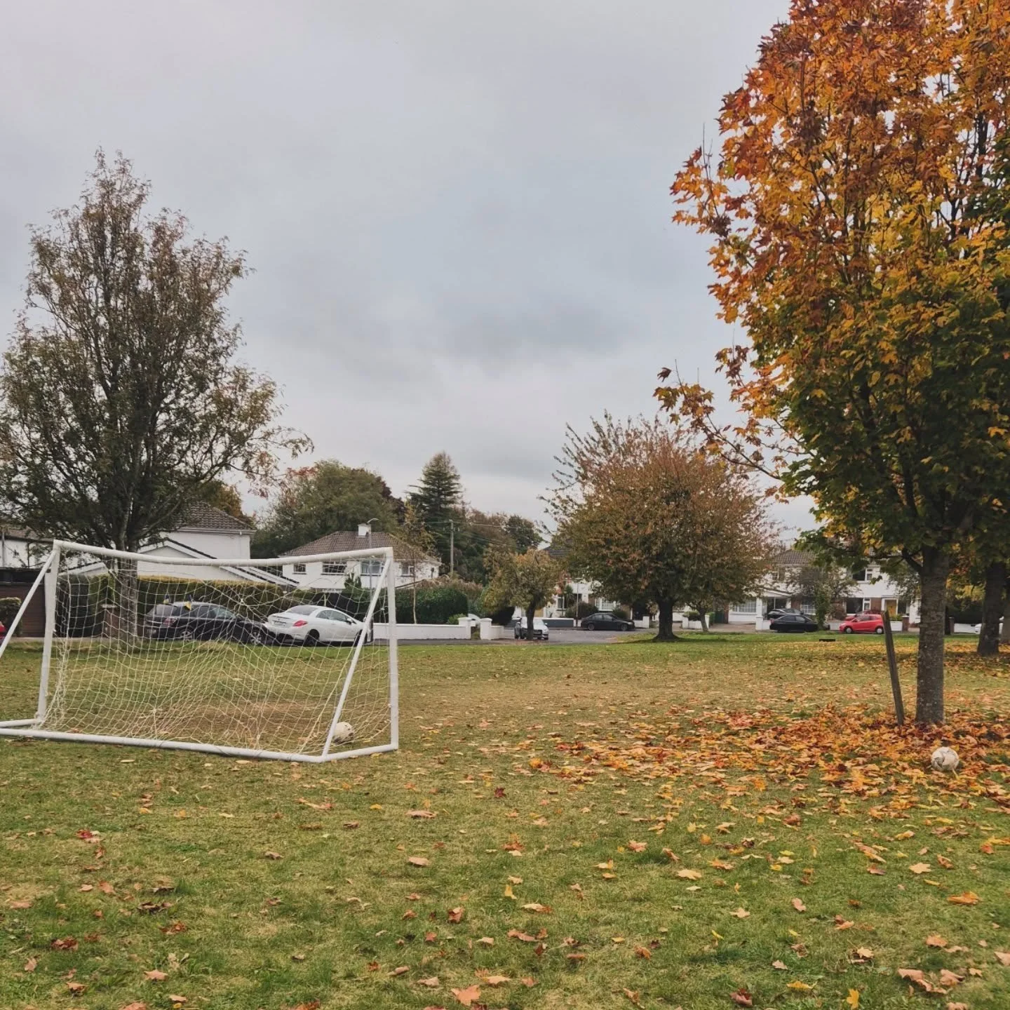 A green with a goal and a couple of footballs.

Beautiful.