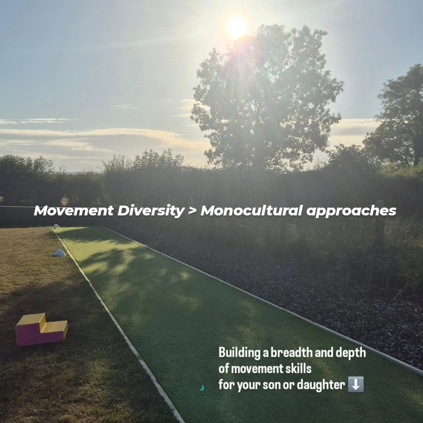Movement diversity > Monocultural exercises. 

In food production, high-yield farms often don't feature the weeds, trees, ponds, and hedgerows that give rise to abundant biodiversity. Monocultural crops tend to be sensitive to disease. As a whole,